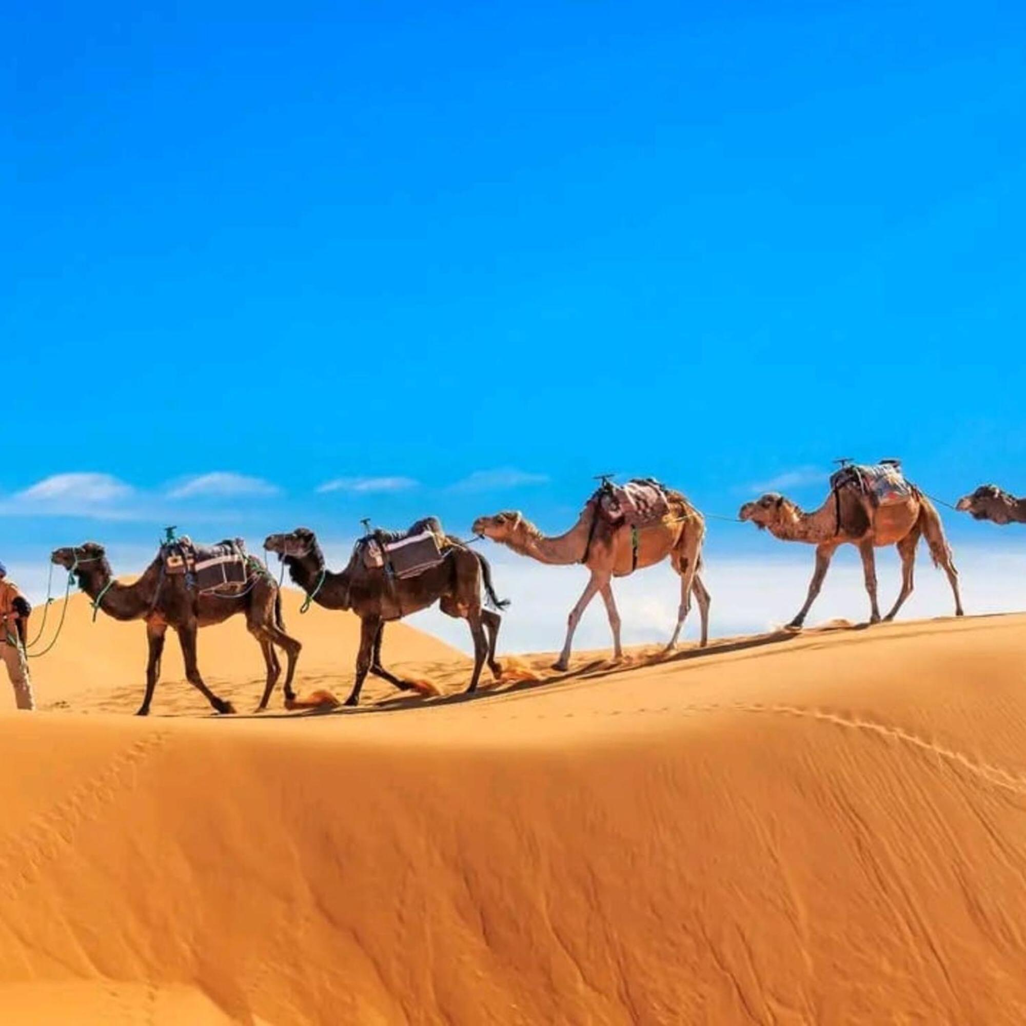 Unique Sahara Camp Hotel Merzouga Exterior photo